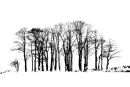Winter Trees