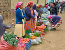 Market Line up