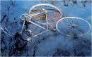 Abandoned Bicycle