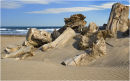 Beach Debris