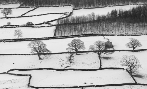 Field Patterns