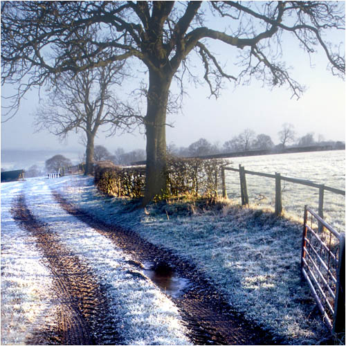 Frosty Tracks in Nidderdale