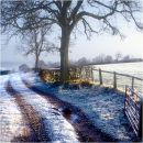 Frosty Tracks in Nidderdale