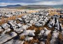 Limestone Pavement