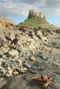 Lindisfarne Castle