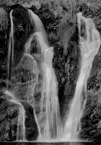 Lower Falls