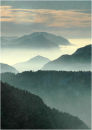 Mist in the Valley