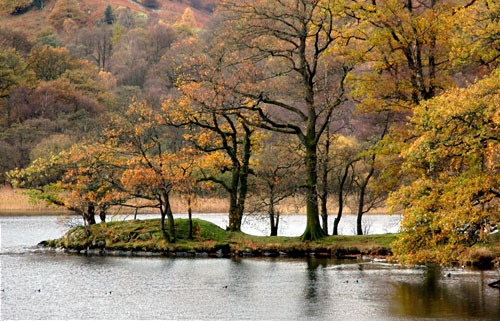Rydal water in Autumn