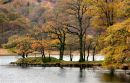 Rydal water in Autumn