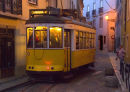 The evening tram