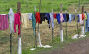 wash day