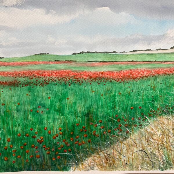 Poppy fields