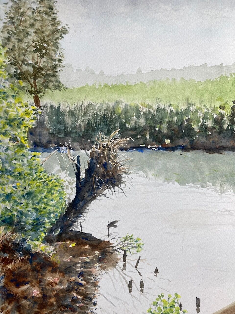 Byron's Pool, Grantchester Meadows