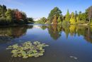 Autumn at Sheffield Park