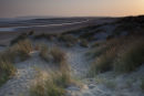 Dunes at Camber Sands