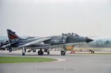 Sea Harrier FRS.1 XZ459