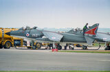 Sea Harrier FRS.1 XZ460
