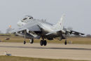 Harrier