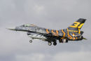 Tiger F-16