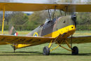 Tiger Moth