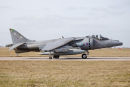 Harrier