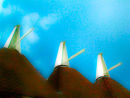 Oast Houses