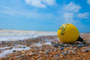 8knots
