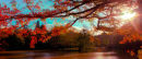 Autumn Lake
