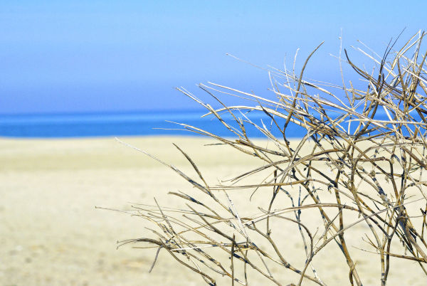 Beach protection