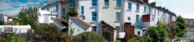 Brighton Back Yards