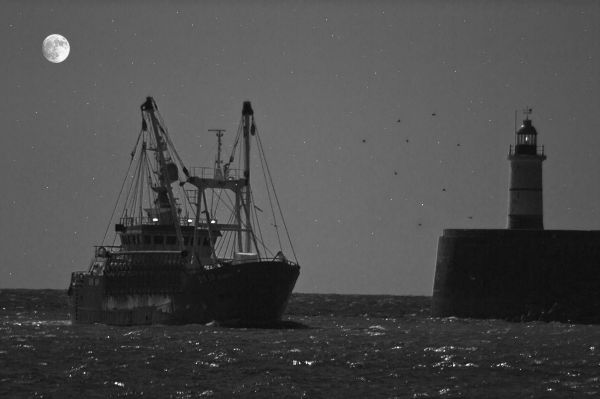 Coming home to Newhaven