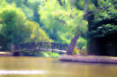 Tranquility