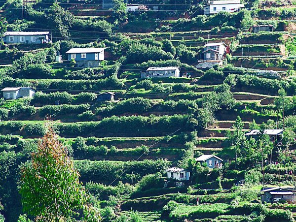 Plantation homes in Sri Lanka