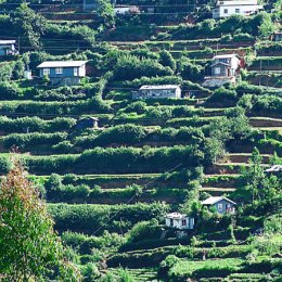 Plantation homes in Sri Lanka