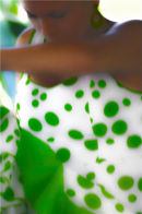 Flamenco in green