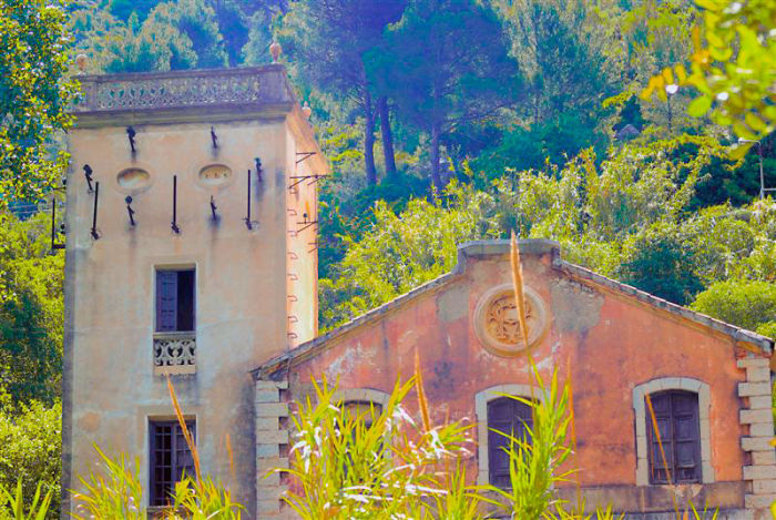 Spanish Forest House