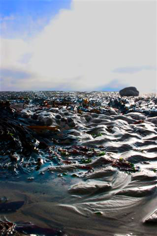 Eastbourne shoreline