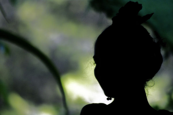 Flamenco Silhouette