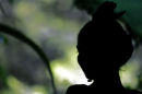 Flamenco Silhouette
