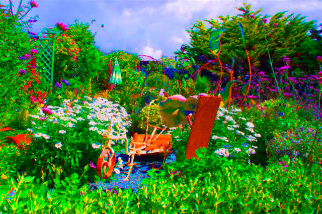 Geoff's Psychedelic Garden