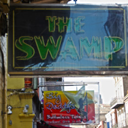 The Swamp