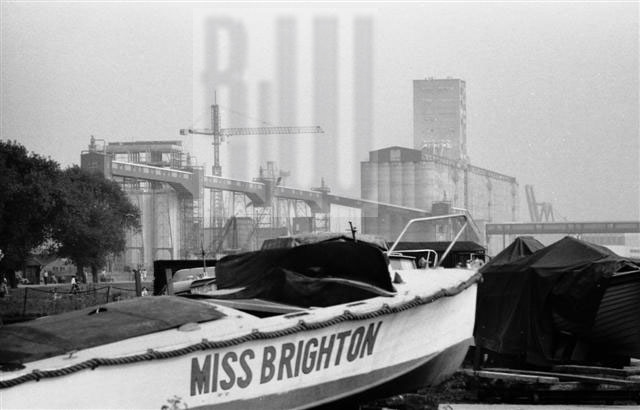 Miss Brighton