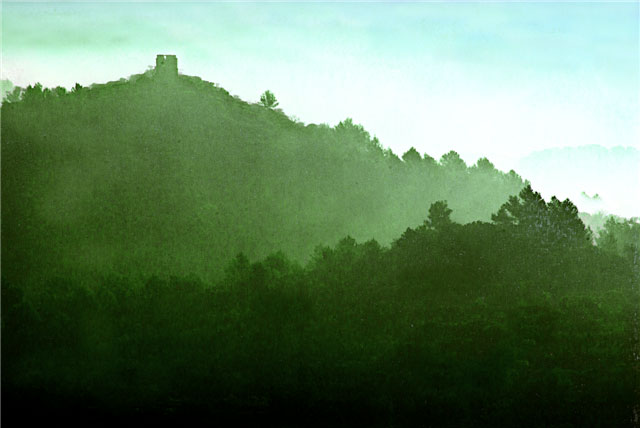 Misty Hills