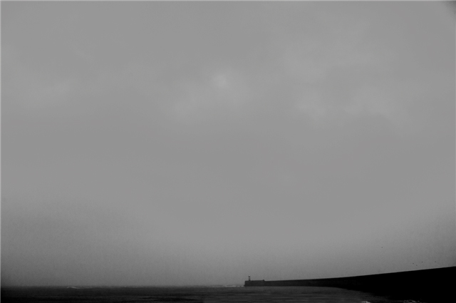 Newhaven Arm