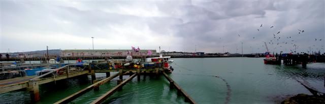 Newhaven port
