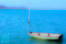 Newtown Dingy