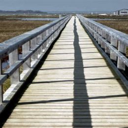 Newtown Nature Reserve, Isle of Wight