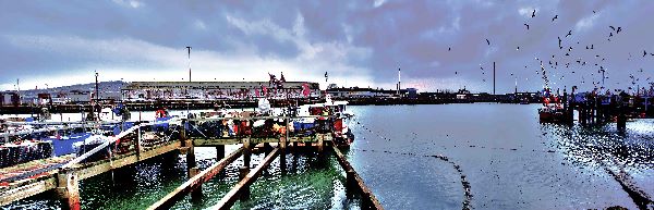 Newhaven Harbour