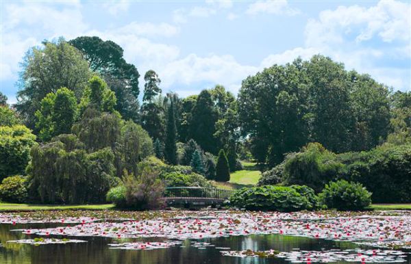 Sheffield Park