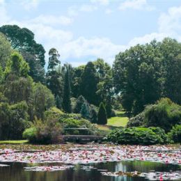 Sheffield Park